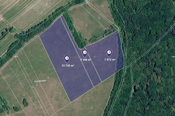 Prodej pozemku 24.706 m², Horní Věstonice Prodej pozemku 24.706 m², Horní Věstonice