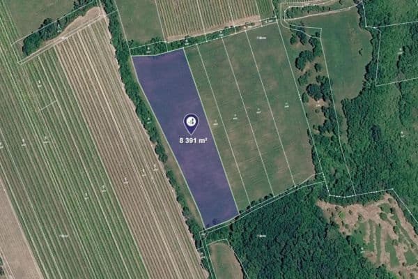 Prodej pozemku 8.391 m², Horní Věstonice Prodej pozemku 8.391 m², Horní Věstonice