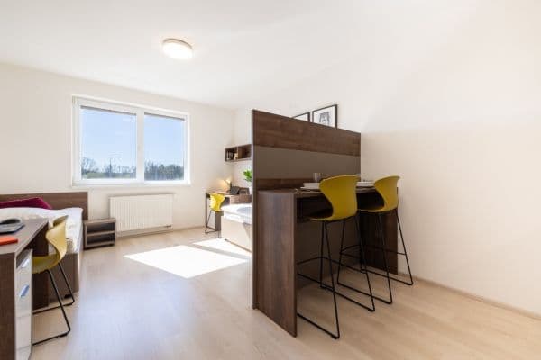 Pronájem bytu 1+kk 27 m², Magisterská, Plzeň, Plzeňský kraj Pronájem bytu 1+kk 27 m², Magisterská, Plzeň, Plzeňský kraj