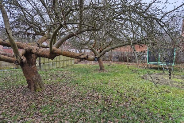 Pronájem bytu 3+1 90 m², Pod Špičákem, Česká Lípa Pronájem bytu 3+1 90 m², Pod Špičákem, Česká Lípa