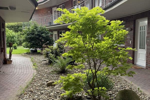 Pronájem bytu 3+1 80 m², Hollenstedt Pronájem bytu 3+1 80 m², Hollenstedt