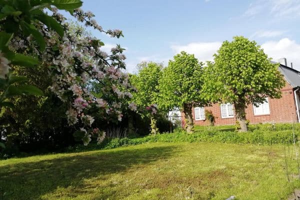 Pronájem bytu 4+1 121 m², Herzhorn Pronájem bytu 4+1 121 m², Herzhorn