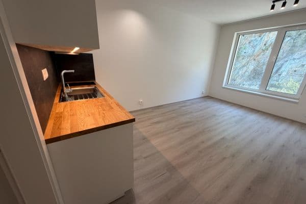 Pronájem bytu 1+kk 31 m², Bystrcká, Brno Pronájem bytu 1+kk 31 m², Bystrcká, Brno