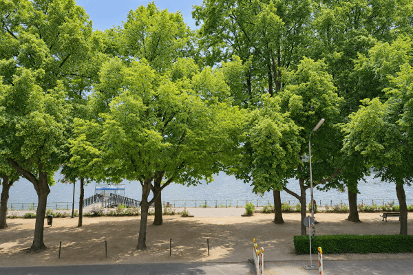 Pronájem bytu 3+1 62 m², Bonn Pronájem bytu 3+1 62 m², Bonn