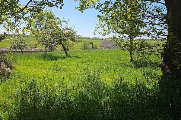 Prodej pozemku 726 m², Hauptstraße 25, Busenhausen Prodej pozemku 726 m², Hauptstraße 25, Busenhausen