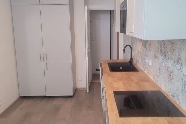 Pronájem bytu 2+1 53 m², Žerotínova, Praha Pronájem bytu 2+1 53 m², Žerotínova, Praha