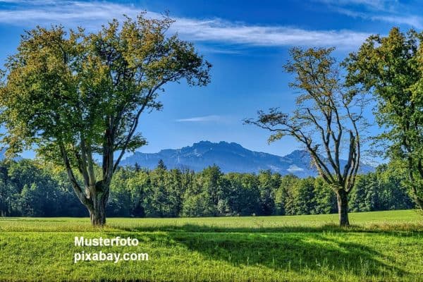 Prodej domu 140 m², pozemek 900 m², Bernau am Chiemsee, Bavorsko Prodej domu 140 m², pozemek 900 m², Bernau am Chiemsee, Bavorsko