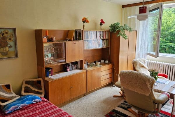 Pronájem bytu 1+kk 33 m², Na Kopci, Jihlava, Kraj Vysočina Pronájem bytu 1+kk 33 m², Na Kopci, Jihlava, Kraj Vysočina