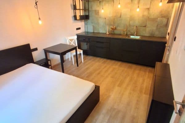 Pronájem bytu 1+kk 25 m², Fibichova, Praha Pronájem bytu 1+kk 25 m², Fibichova, Praha