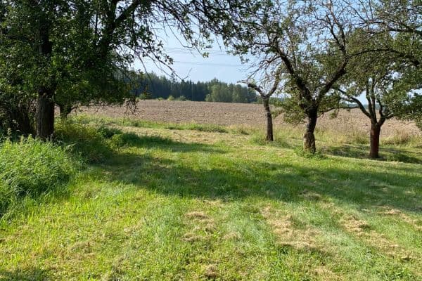 Prodej pozemku 3.359 m², Petrovice Prodej pozemku 3.359 m², Petrovice