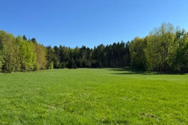 Prodej pozemku 16.750 m², Ondřejov Prodej pozemku 16.750 m², Ondřejov