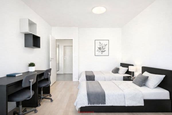 Pronájem bytu 2+1 47 m², Technická, Plzeň, Plzeňský kraj Pronájem bytu 2+1 47 m², Technická, Plzeň, Plzeňský kraj