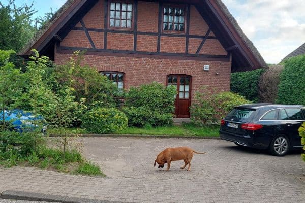 Pronájem bytu 2+1 75 m², Hamburg Pronájem bytu 2+1 75 m², Hamburg