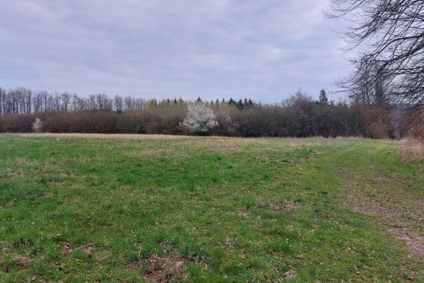 Prodej pozemku 2.040 m², Loket Prodej pozemku 2.040 m², Loket