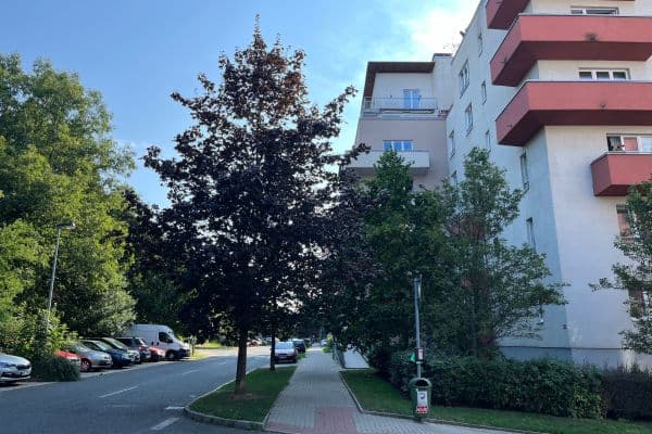 Pronájem bytu 1+kk 27 m², Mikanova, Praha Pronájem bytu 1+kk 27 m², Mikanova, Praha