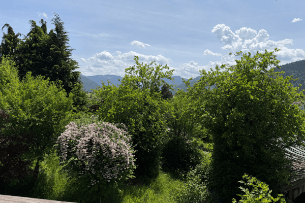 Prodej domu 110 m², pozemek 812 m², Hausham, Bavorsko Prodej domu 110 m², pozemek 812 m², Hausham, Bavorsko