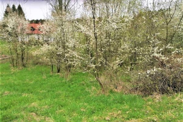 Prodej pozemku 340 m², Veselá Prodej pozemku 340 m², Veselá