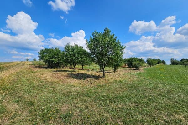 Prodej pozemku 2.492 m², Prodej pozemku 2.492 m²,