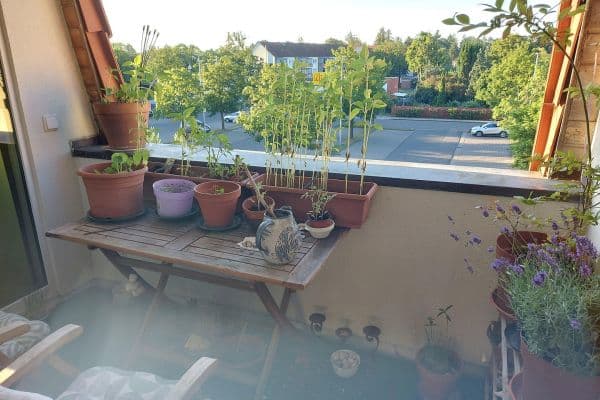 Pronájem bytu 2+1 70 m², Bernau Pronájem bytu 2+1 70 m², Bernau