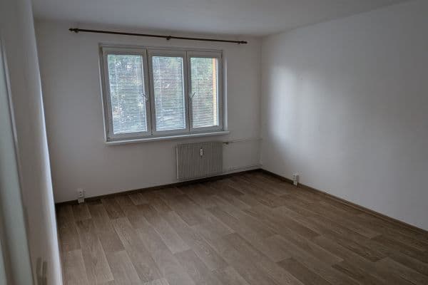 Pronájem bytu 1+1 41 m², Nepomucká, Plzeň Pronájem bytu 1+1 41 m², Nepomucká, Plzeň