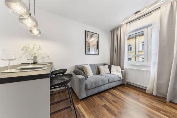 Pronájem bytu 1+1 19 m², Ickstattstraße 20, München, Bavorsko Pronájem bytu 1+1 19 m², Ickstattstraße 20, München, Bavorsko