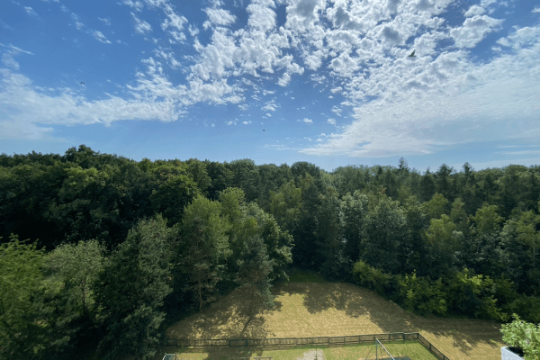 Pronájem bytu 4+kk 92 m², Augustinova, Praha Pronájem bytu 4+kk 92 m², Augustinova, Praha