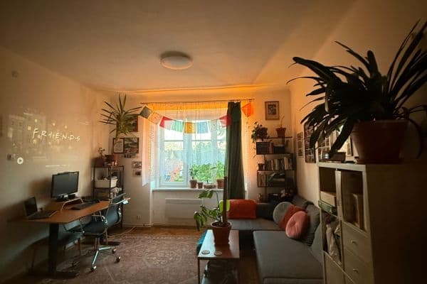 Pronájem bytu 1+1 46 m², Purkyňova, Brno Pronájem bytu 1+1 46 m², Purkyňova, Brno