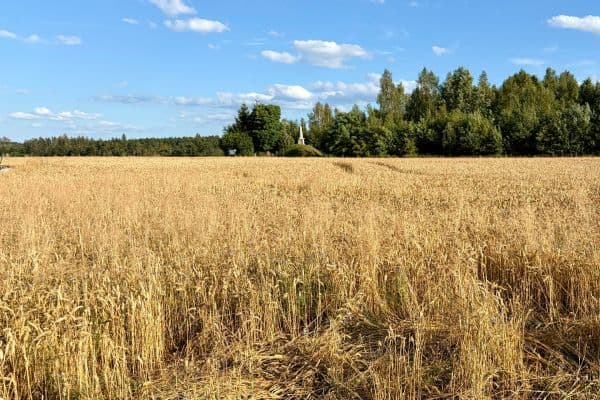 Prodej pozemku 714 m², Prodej pozemku 714 m²,