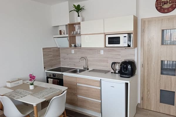 Pronájem bytu 1+kk 29 m², Sedláčkova, Brno Pronájem bytu 1+kk 29 m², Sedláčkova, Brno