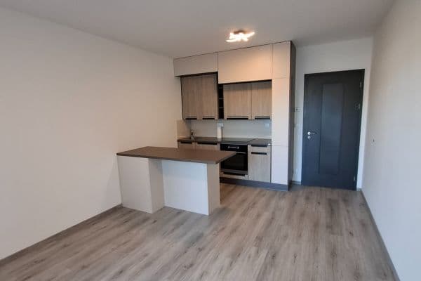 Pronájem bytu 1+kk 30 m², Švehlova, Praha Pronájem bytu 1+kk 30 m², Švehlova, Praha