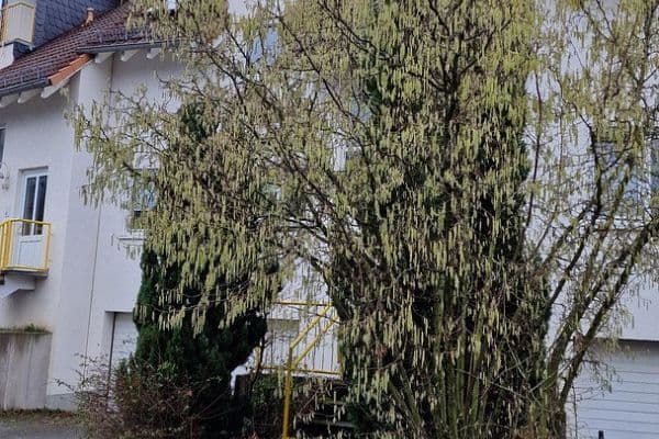 Prodej bytu 2+kk 72 m², Neu-Anspach Prodej bytu 2+kk 72 m², Neu-Anspach