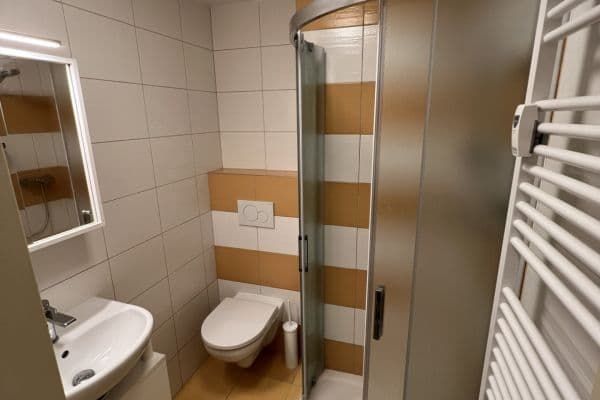 Pronájem bytu 1+1 32 m², Partyzánská, Plzeň Pronájem bytu 1+1 32 m², Partyzánská, Plzeň
