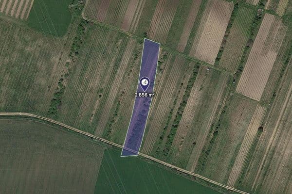 Prodej pozemku 3.275 m², Brumovice, Jihomoravský kraj Prodej pozemku 3.275 m², Brumovice, Jihomoravský kraj