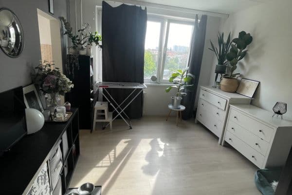 Pronájem bytu 1+1 30 m², Benkova, Praha Pronájem bytu 1+1 30 m², Benkova, Praha