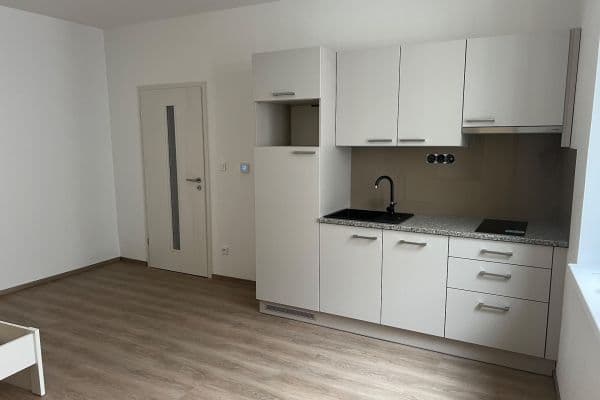 Pronájem bytu 1+kk 30 m², Puškinova, Plzeň Pronájem bytu 1+kk 30 m², Puškinova, Plzeň