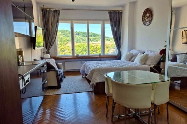 Pronájem bytu 1+kk 32 m², Masarykovo nábřeží, Praha Pronájem bytu 1+kk 32 m², Masarykovo nábřeží, Praha
