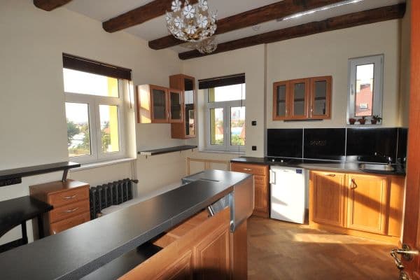 Pronájem bytu 1+kk 15 m², V Olšinách, Praha Pronájem bytu 1+kk 15 m², V Olšinách, Praha
