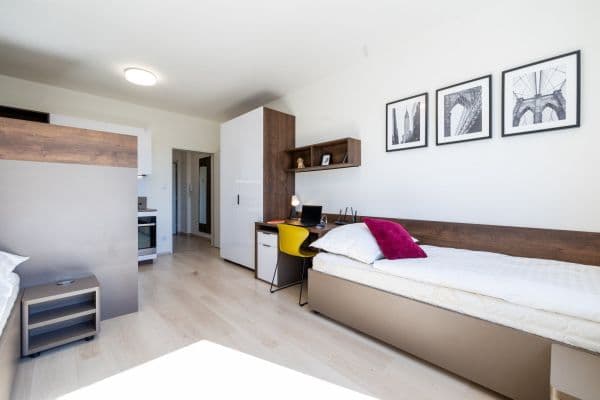 Pronájem bytu 1+kk 27 m², Magisterská, Plzeň, Plzeňský kraj Pronájem bytu 1+kk 27 m², Magisterská, Plzeň, Plzeňský kraj