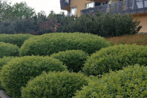 Prodej bytu 4+kk 100 m², Melodická, Praha Prodej bytu 4+kk 100 m², Melodická, Praha