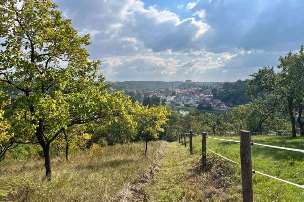 Prodej pozemku 3.055 m², Dolní Kounice Prodej pozemku 3.055 m², Dolní Kounice