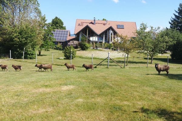 Prodej domu 262 m², pozemek 14.683 m², Rathausstraße 25, Bad Wurzach Prodej domu 262 m², pozemek 14.683 m², Rathausstraße 25, Bad Wurzach