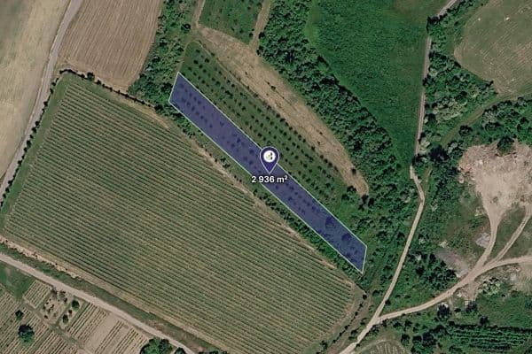 Prodej pozemku 2.936 m², Popice, Jihomoravský kraj Prodej pozemku 2.936 m², Popice, Jihomoravský kraj