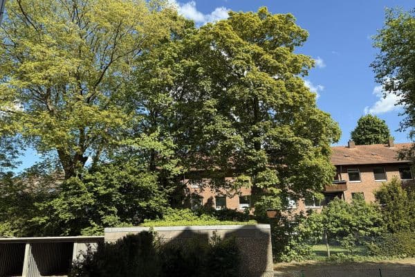 Prodej bytu 4+1 82 m², Münster, Severní Porýní-Vestfálsko Prodej bytu 4+1 82 m², Münster, Severní Porýní-Vestfálsko