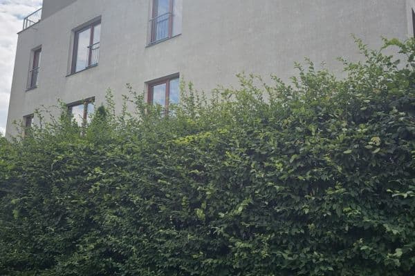 Prodej bytu 3+kk 80 m², Lederova, Roztoky Prodej bytu 3+kk 80 m², Lederova, Roztoky