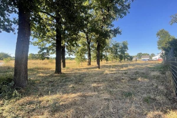 Prodej pozemku 400 m², Pfarrholz 12, Pegau Prodej pozemku 400 m², Pfarrholz 12, Pegau