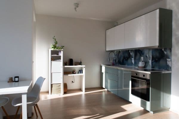 Pronájem bytu 1+kk 38 m², Strnadových, Praha Pronájem bytu 1+kk 38 m², Strnadových, Praha