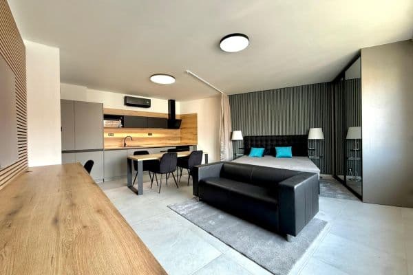 Pronájem bytu 1+kk 42 m², Šmejkalova, Brno Pronájem bytu 1+kk 42 m², Šmejkalova, Brno