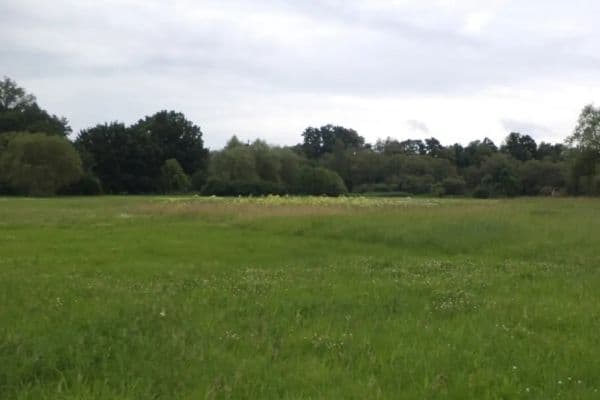 Prodej pozemku 5.581 m², Česká Lípa Prodej pozemku 5.581 m², Česká Lípa
