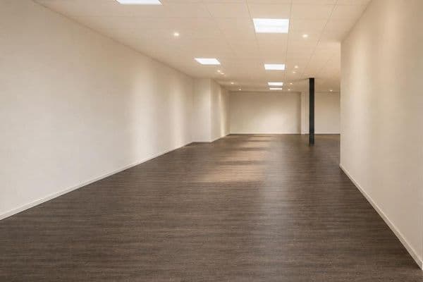 Pronájem nebytového prostoru 220 m², Georg-Fischer-Straße 32, Singen (Hohentwiel), Bádensko-Württembersko Pronájem nebytového prostoru 220 m², Georg-Fischer-Straße 32, Singen (Hohentwiel), Bádensko-Württembersko