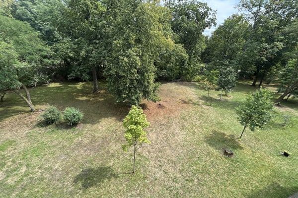 Prodej bytu 2+kk 62 m², Laehr`scher Jagdweg 15, Berlin, Berlín Prodej bytu 2+kk 62 m², Laehr`scher Jagdweg 15, Berlin, Berlín